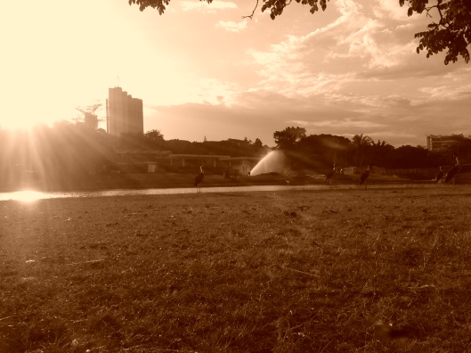 Uhuru park Sunset,